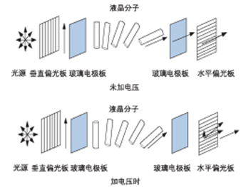 1750386774343455.png 5.png