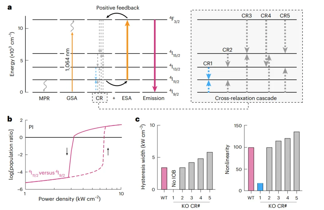 雪崩納米粒子ANPs中的本征光學(xué)雙穩(wěn)態(tài)IOB模型。