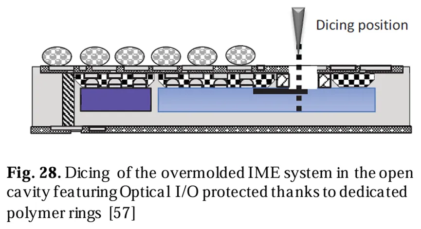 在開(kāi)放式腔體中切割過(guò)模IME系統(tǒng)，該腔體通過(guò)專(zhuān)用聚合物環(huán)保護(hù)光學(xué)/O[